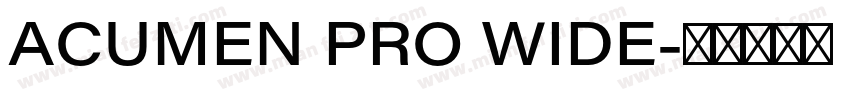 ACUMEN PRO WIDE字体转换